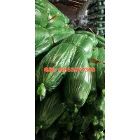 臨沂遮陽網(wǎng)生產(chǎn)廠家13853977368