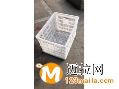100斤塑料周轉(zhuǎn)筐，100斤蔬菜周轉(zhuǎn)筐