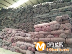 臨沂毛氈廠家直銷，山東毛氈廠家批發(fā)