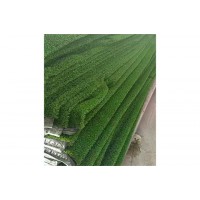 臨沂安全平網(wǎng)生產(chǎn)廠家,山東施工網(wǎng)廠家直銷