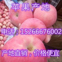 山東蘋(píng)果批發(fā)基地紅富士蘋(píng)果產(chǎn)地供應(yīng)價(jià)格行情
