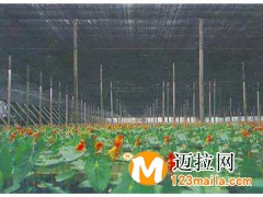臨沂兩針遮陽(yáng)網(wǎng)廠(chǎng)家,山東四針遮陽(yáng)網(wǎng)生產(chǎn)廠(chǎng)家