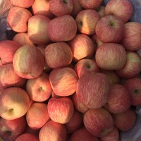 蘋(píng)果基地批發(fā)紅富士蘋(píng)果到哪里好