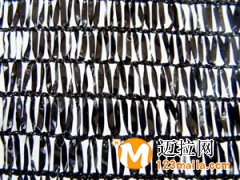 山東三針遮陽網(wǎng)廠家,臨沂四針遮陽網(wǎng)批發(fā)價格