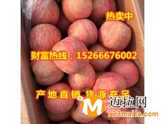 山東紅富士蘋(píng)果產(chǎn)地降價(jià)批發(fā)