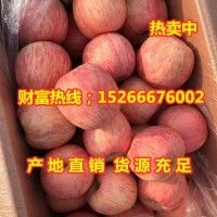 山東紅富士蘋(píng)果產(chǎn)地降價(jià)批發(fā)