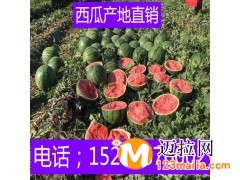 山東大棚西瓜價(jià)格薄皮紅瓤西瓜批發(fā)行情