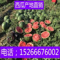山東大棚西瓜價(jià)格薄皮紅瓤西瓜批發(fā)行情