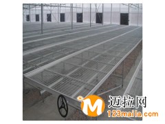 溫室大棚移動苗床熱鍍鋅網(wǎng)片加工定制