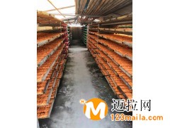 臨沂廠家直供無(wú)塵粉筆彩色兒童安全六角粉筆