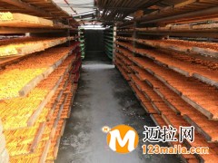 山東臨沂廠家批發(fā)六角粉筆貨源直供