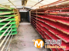 臨沂六角粉筆廠家批發(fā)自產(chǎn)自銷