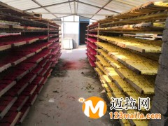 臨沂環(huán)保六角粉筆學(xué)校專用廠家直銷