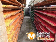 山東臨沂新航粉筆廠家自產(chǎn)自銷批發(fā)