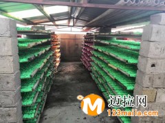 臨沂新航六角粉筆廠家直銷品質(zhì)可靠
