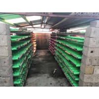 臨沂新航六角粉筆廠家直銷品質(zhì)可靠