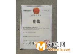 臨沂新航粉筆廠無(wú)塵教學(xué)粉筆安全環(huán)保